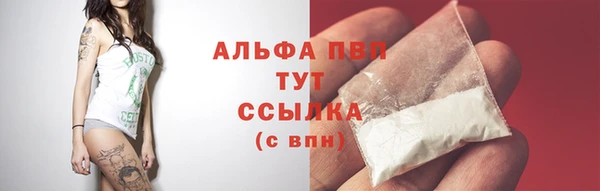 мяу мяу мука Пестово