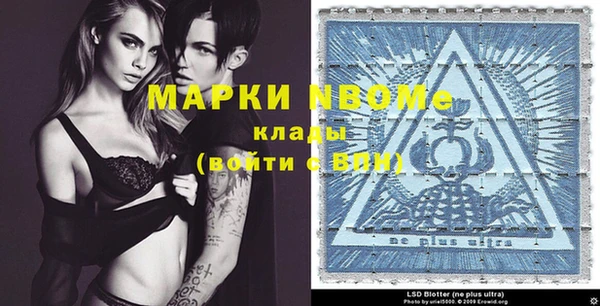 тгк Пересвет