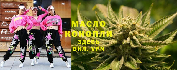 дживик Гатчина