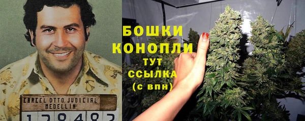 тгк Пересвет