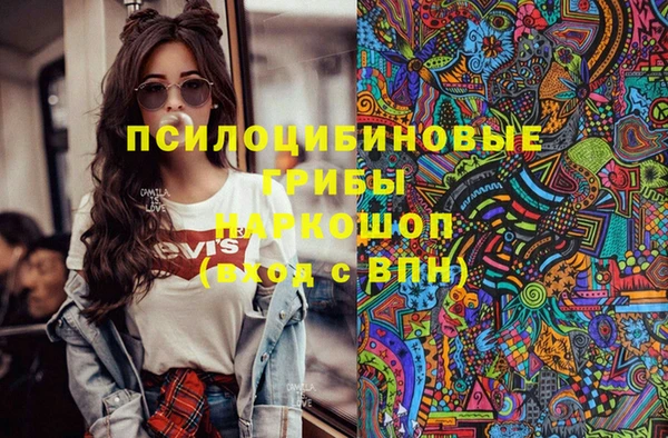 тгк Пересвет