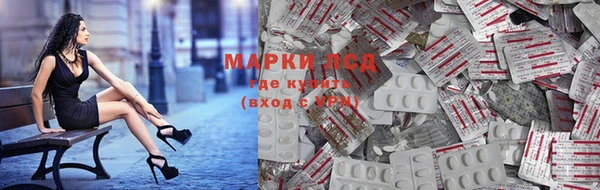 тгк Пересвет