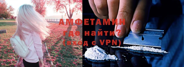 тгк Пересвет