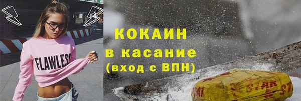 тгк Пересвет