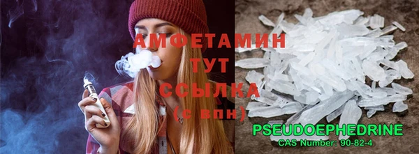 сатива Гвардейск