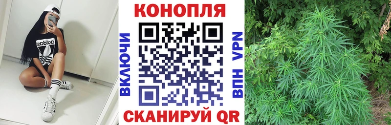 цена Белый Канабис VHQ